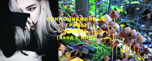 трава Абдулино