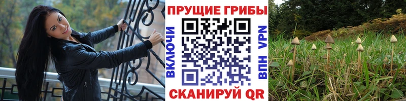 Псилоцибиновые грибы прущие грибы  мега   Киржач 