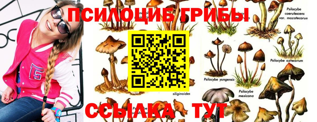 Галлюциногенные грибы Psilocybe  Галлюциногенные грибы GOLDEN TEACHER  Вход с VPN  Киржач 