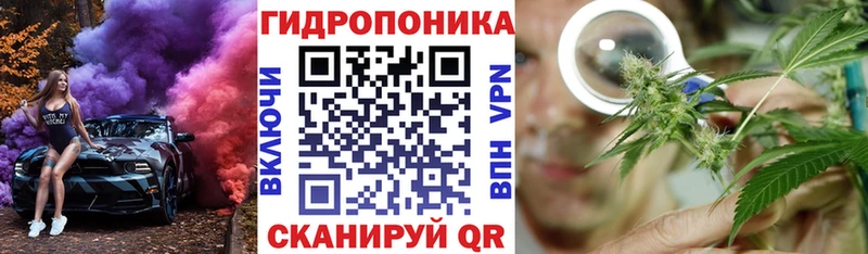 Каннабис OG Kush Киржач