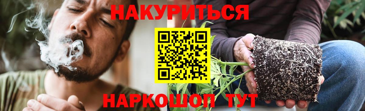 Конопля план  Вход с VPN  Канабис семена  Киржач 